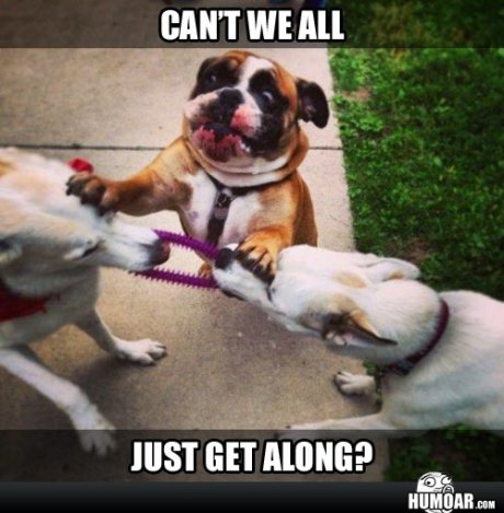 cant-we-all-just-get-along
